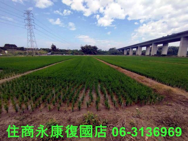 台南官田農地-8
