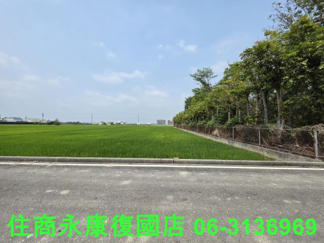 台南六甲農地-4