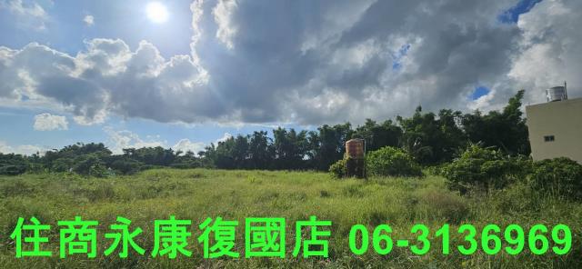 台南關廟農地-5