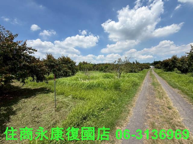 台南大內農地-0