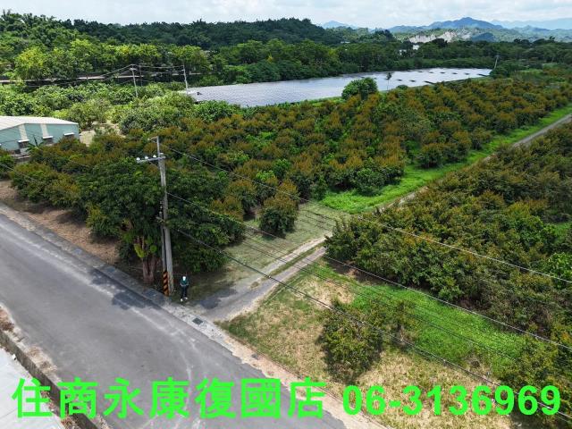 台南大內農地-3