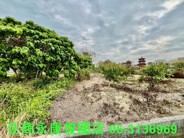 台南白河農地-10