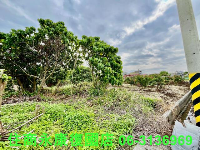 台南白河農地-11