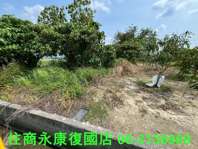 台南白河農地-4