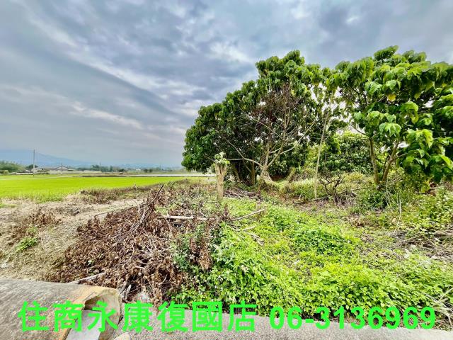 台南白河農地-8