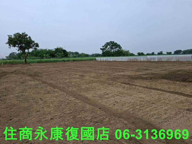 善化農地-4
