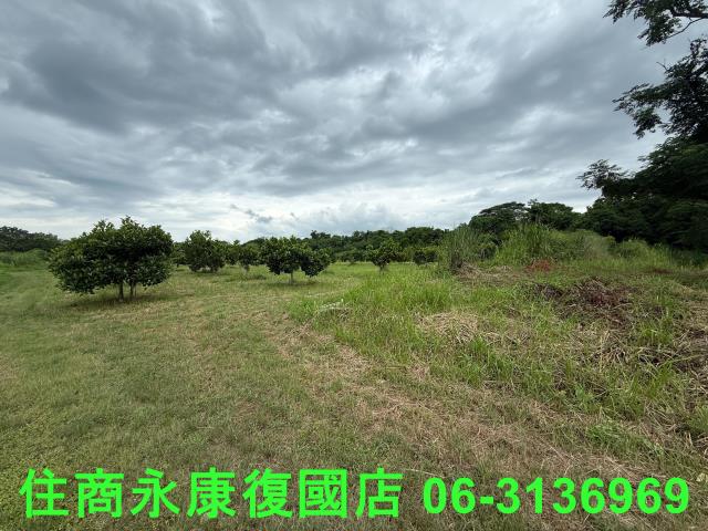 台南大內農地-2