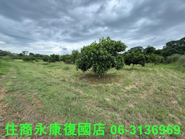 台南大內農地-3