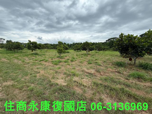 台南大內農地-4