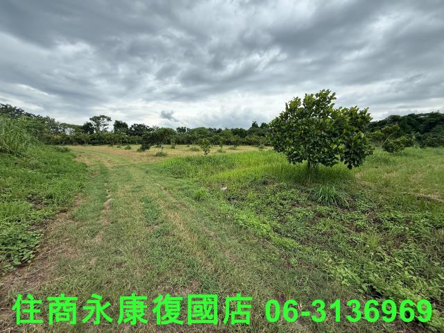 台南大內農地-5