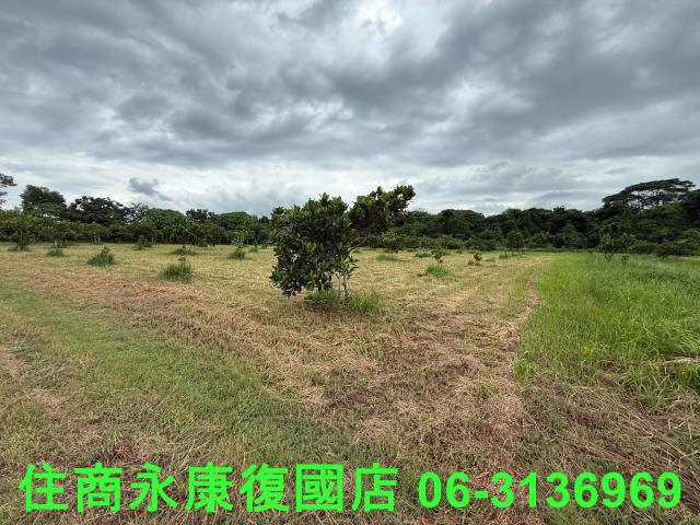 台南大內農地-6