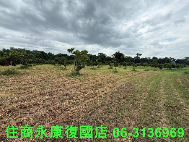 台南大內農地-7