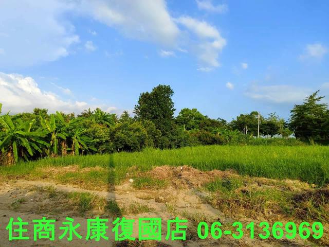 台南新化農地-13