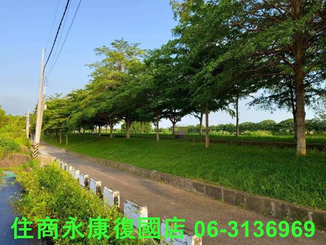 台南新化農地-1
