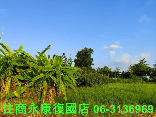 台南新化農地-3
