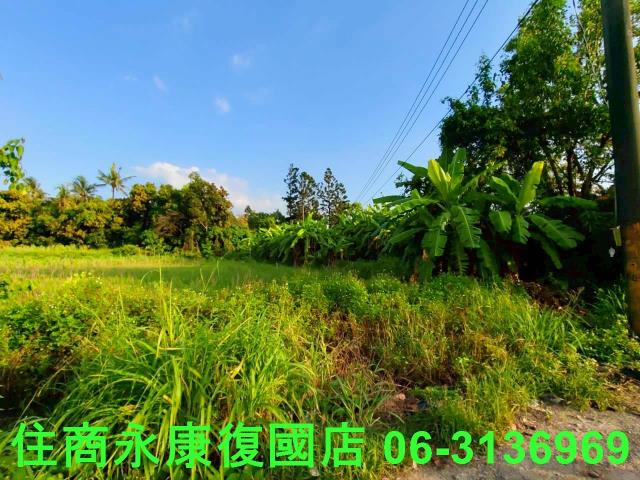 台南新化農地-5