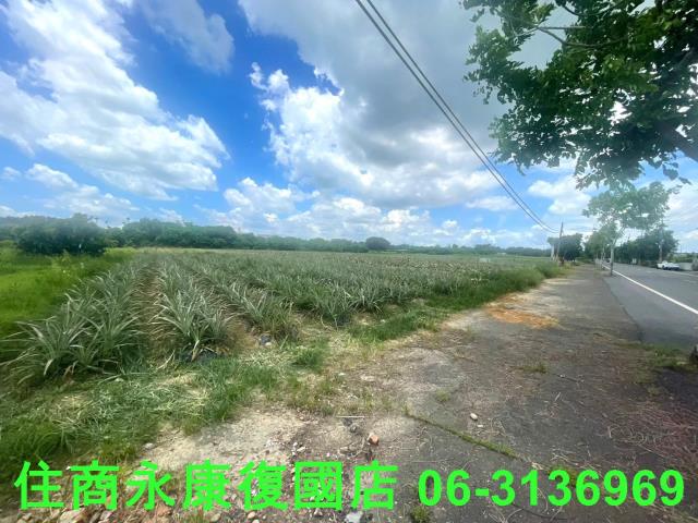 台南山上農地-0