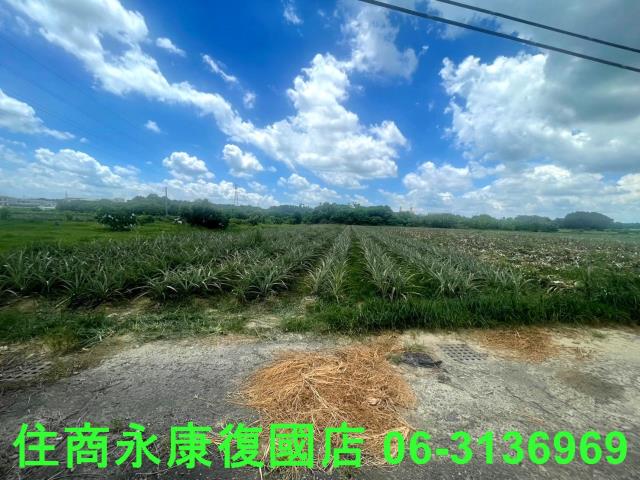 台南山上農地-1