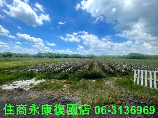 台南山上農地-5
