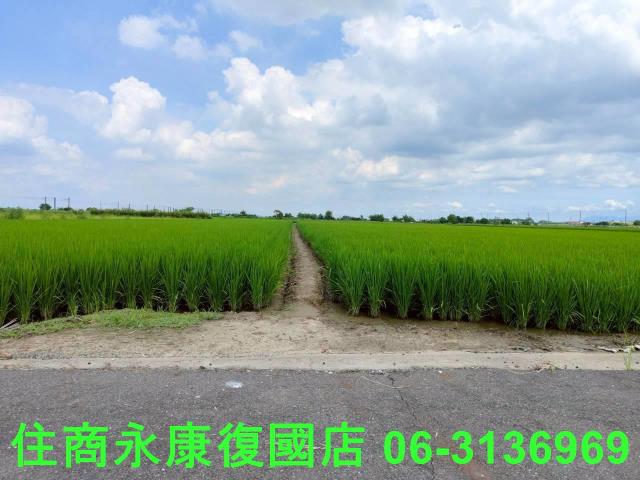 台南六甲農地-9