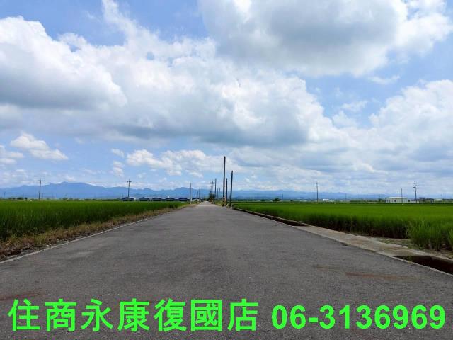 台南六甲農地-13
