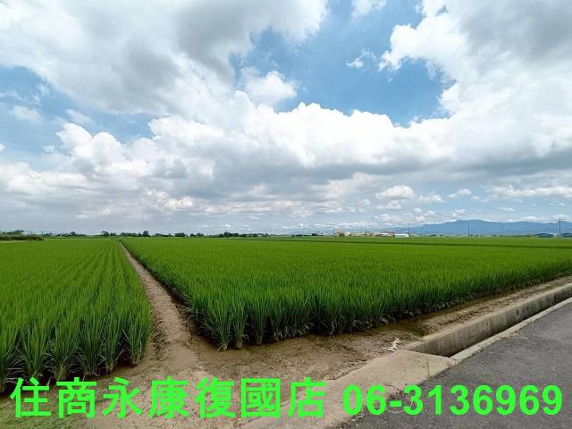 台南六甲農地-3