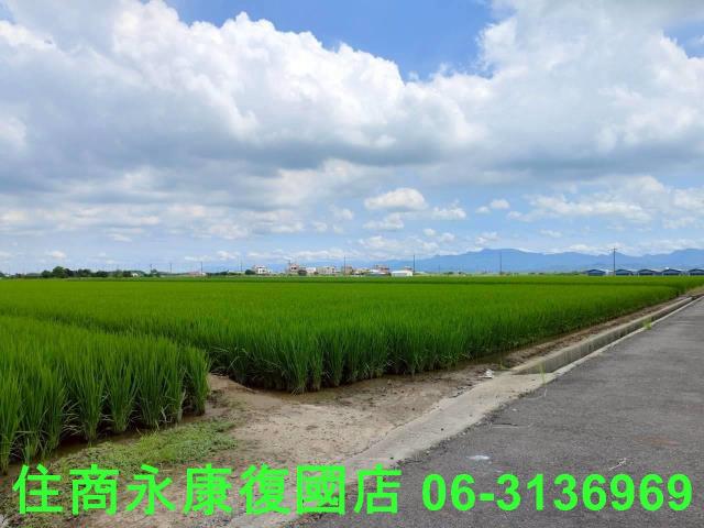 台南六甲農地-5