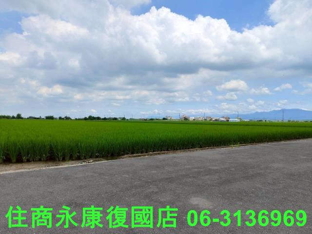 台南六甲農地-6