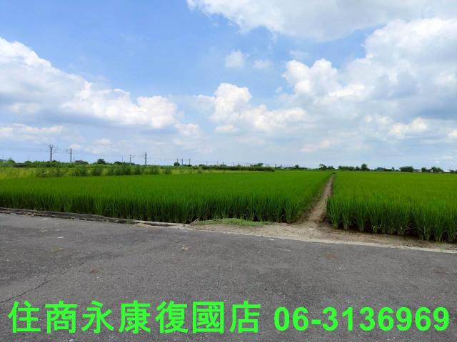 台南六甲農地-7