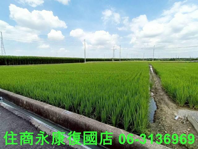 台南六甲農地-1