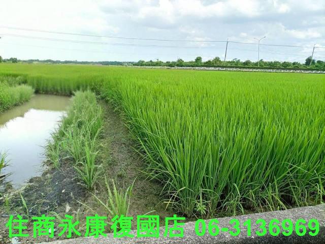 台南六甲農地-2