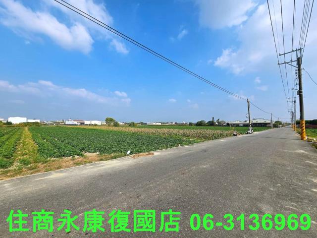 台南新化農地-1