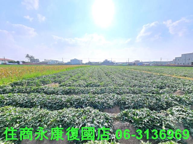 台南新化農地-3