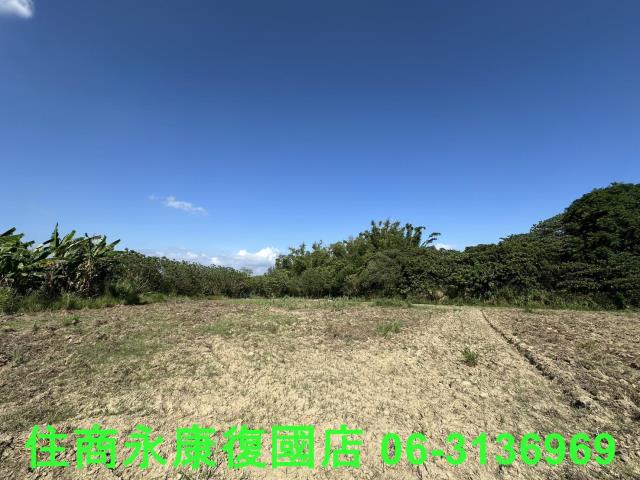 台南左鎮農地-4