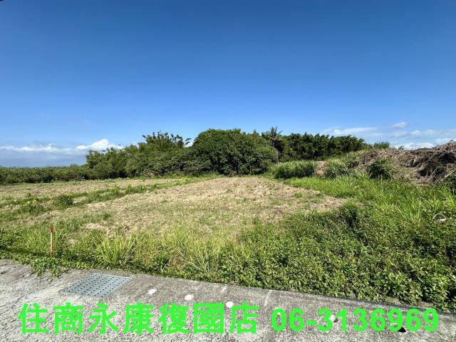 台南左鎮農地-8