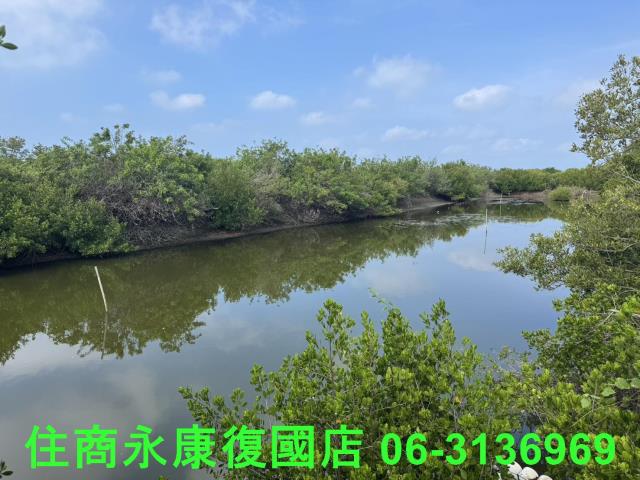 安南農地-4