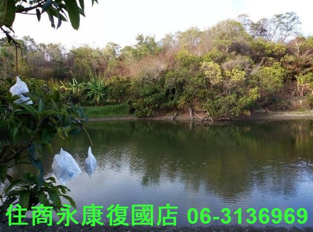 南化農地-9
