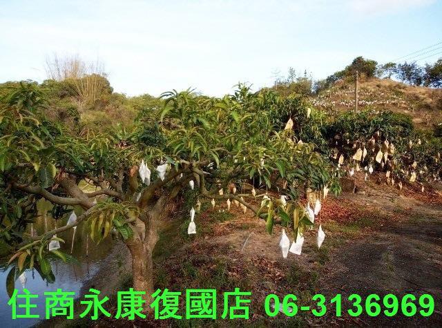 南化農地-11