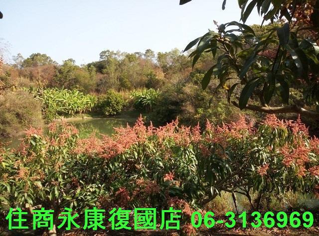 南化農地-0