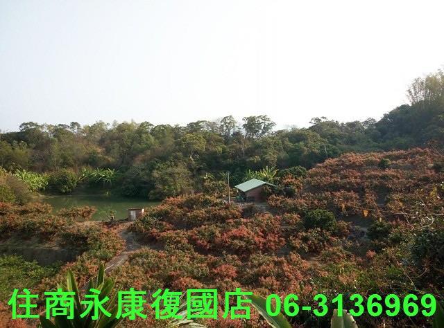 南化農地-1