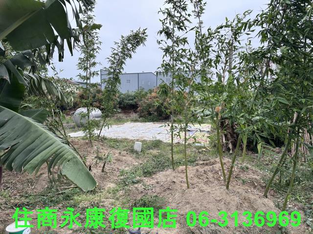 仁德農地-0