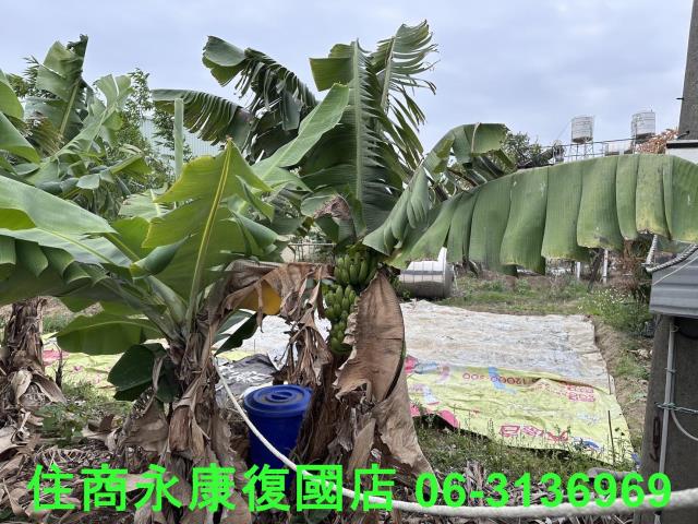 仁德農地-3