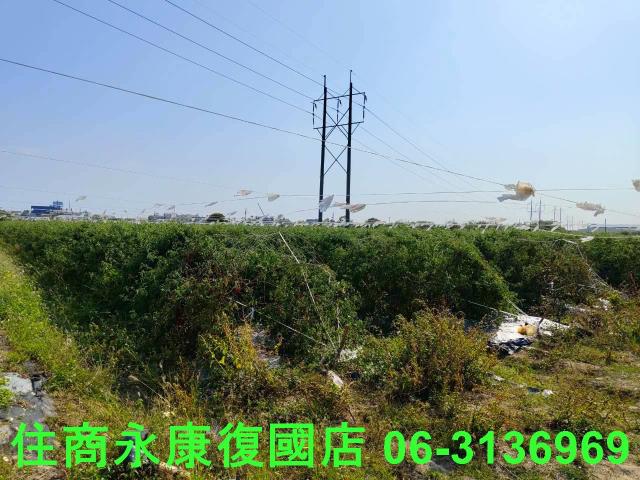 新市農地-4