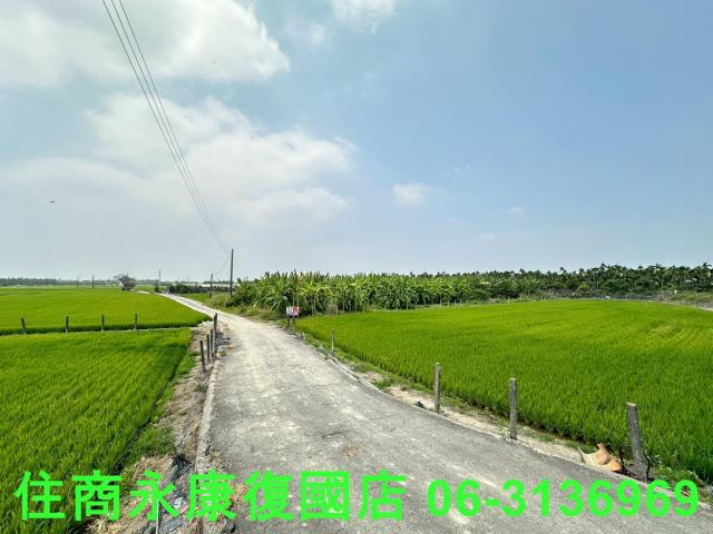 崁頂農地-13