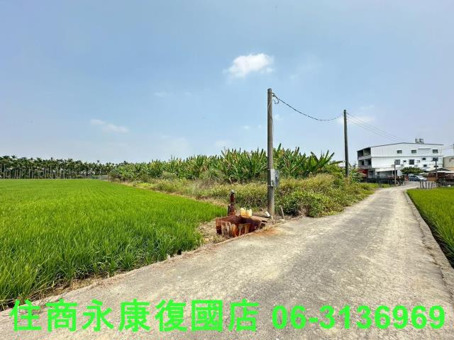 崁頂農地-3