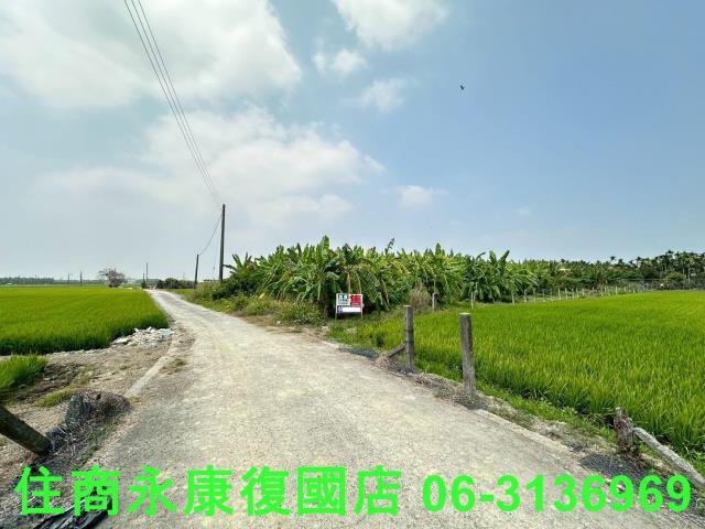 崁頂農地-4