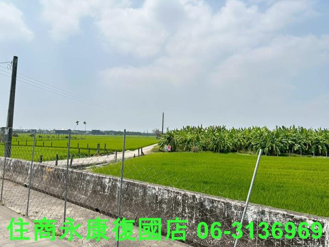 崁頂農地-8
