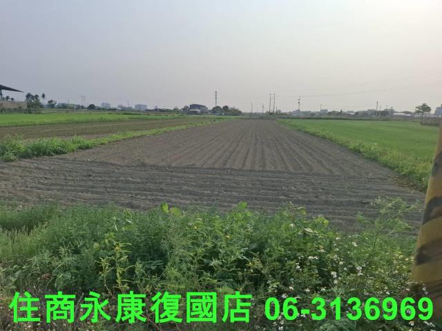 善化農地-4