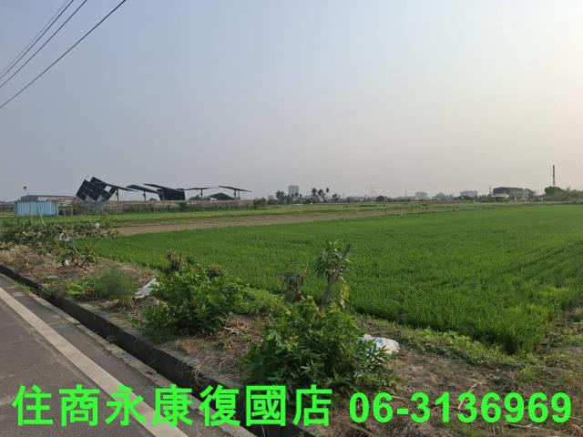 善化農地-6