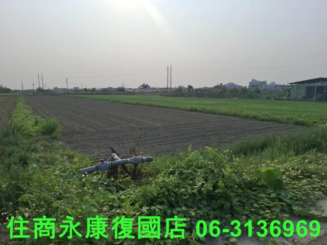 善化農地-7